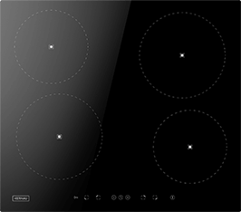 Induktionsfeld Reparatur Ribnitz-Damgarten